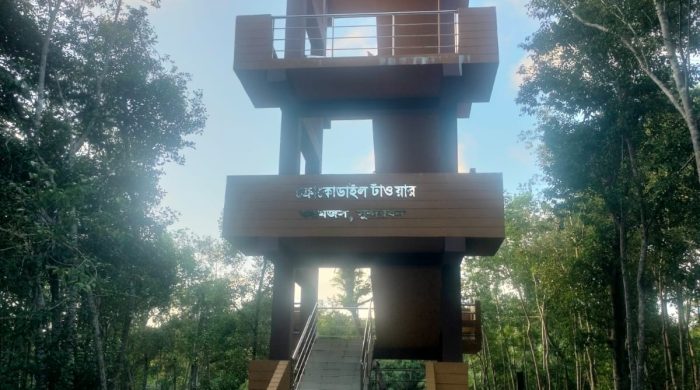 Androidda sogish pornosini tomosha qiling Porno erkakning eshagini yaladi